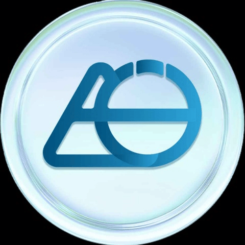 AIgoAgent